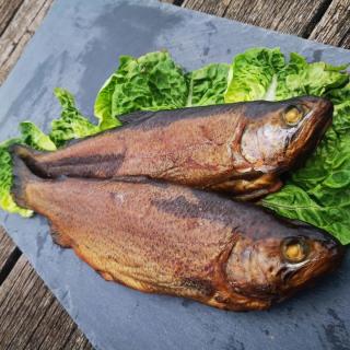 Bio Lachsforelle Filet mit Haut