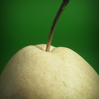 Birne Nashi gelegt ´60+