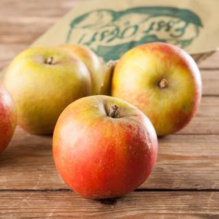 Apfel Wellant