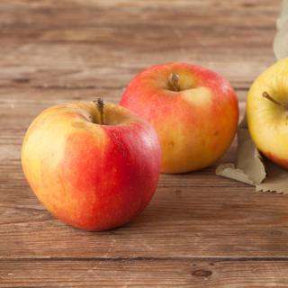 Apfel Roter Gravensteiner