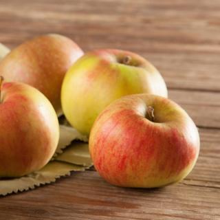 Apfel Gravensteiner