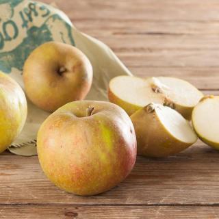 Apfel Roter Boskoop