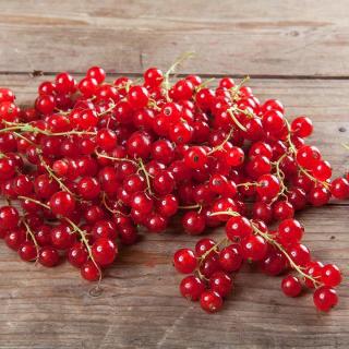 Johannisbeeren ROT von Isak