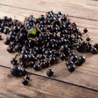 Aroniabeeren