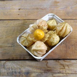 Physalis aus Brandenburg
