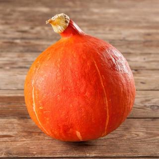 Kürbis Hokkaido orange 1300-1700 g