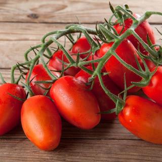 Tomaten San Marzano