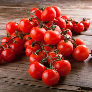 Tomaten Cherrystrauch Herz