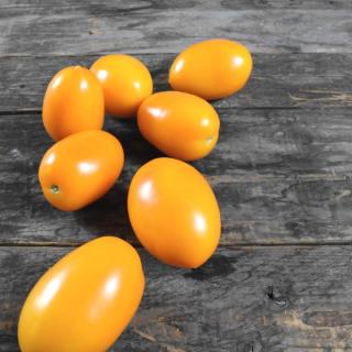 Tomaten Cherry-Roma orange