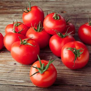 Tomaten Campari