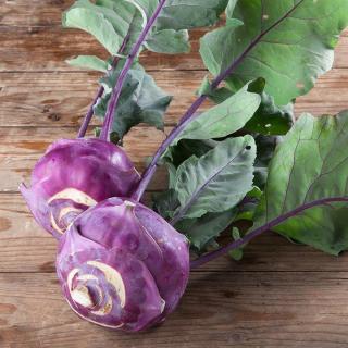 Kohlrabi blau samenfest  ´8cm,250g+