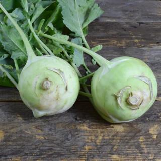 Kohlrabi  ´8cm,300g+