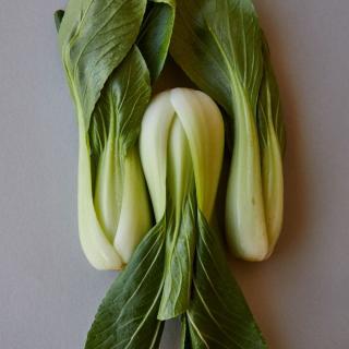 Pak Choy  ca.500g