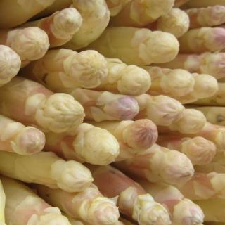 Spargel weiß-violett 14+