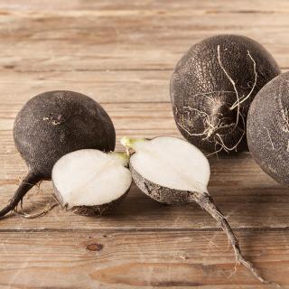 Rettich schwarz rund