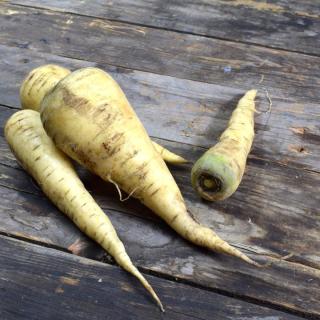 Möhren WEISS Küttinger