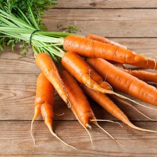 Möhren ORANGE Treenetaler