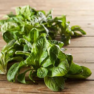 Salat Feldsalat 80g-Schale