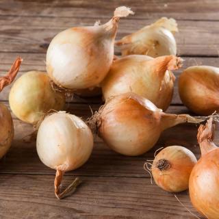 Zwiebeln Rosé de Bretagne  ´40-70