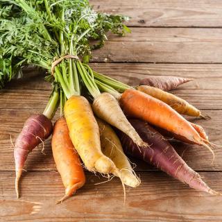 Möhren BUNT MIX mit/ohne Blattgrün