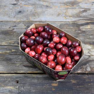 Cranberries frisch