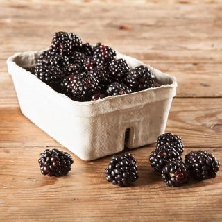 Brombeeren