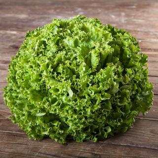 Salat Batavia grün