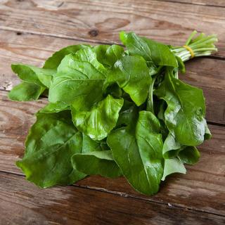 Salat Rucola breitblättrig im Bund
