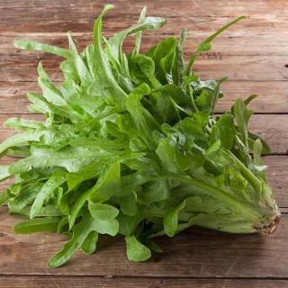 Salat Batavia grün