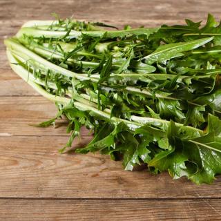 Salat Endivie