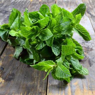 Apfelsaft Boskoop ROT Bag-in-Box