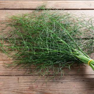 Fenchel samenfest