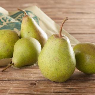 Birne Präsident Droard